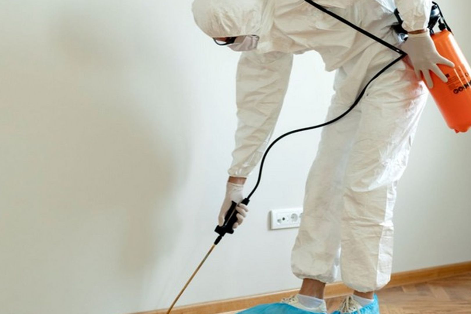 Como Saber a Hora Certa de Chamar Dedetizadora